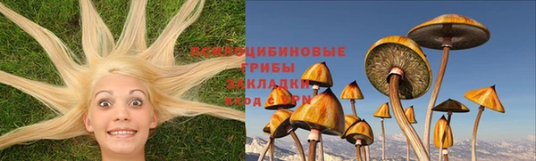 прущая мука Козловка