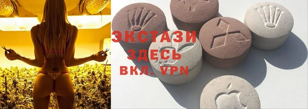дмт Костерёво