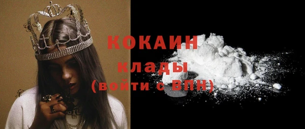 дмт Костерёво