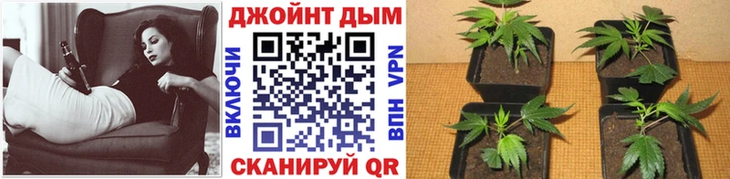 МАРИХУАНА Bruce Banner  Трубчевск 